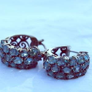 ✨Blue rhinestone earings✨